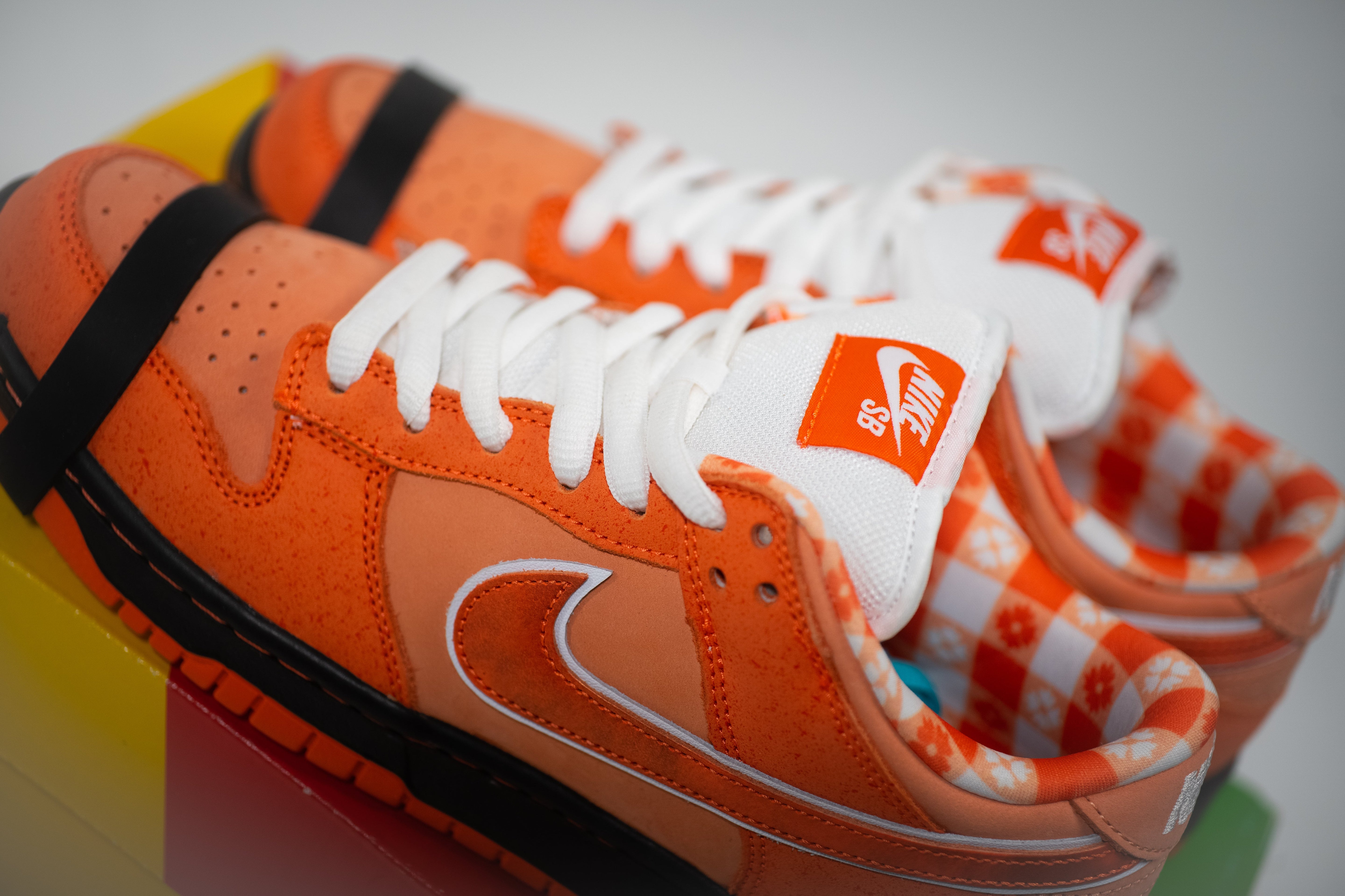 SB Dunk